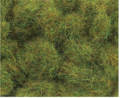 6mm Summer Grass